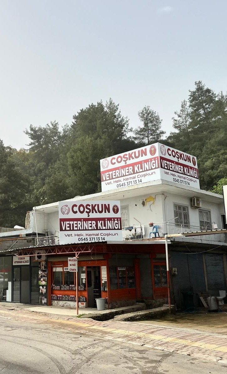 Antalya Aksu Coşkun Veteriner Kliniği Genel Muayene